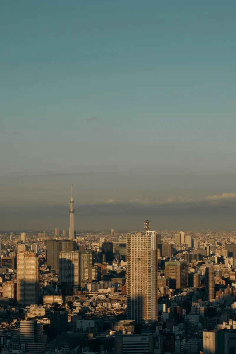 Tokyo skyline with Skytree rising through golden afternoon haze